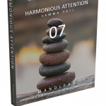 Harmonious Attention